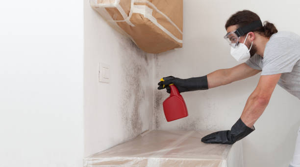 Professional Hvac And Air Duct Mold Remediation technician working in Freeland, MI